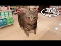Download Lagu 360° OIIAOIIA Cat - Supermarket