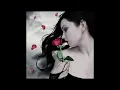 IBO - Schwarze Rose (Discofox Remix.