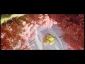 Download Lagu DROELOE - A Promise Is Made (Official Audio)