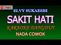 KARAOKE DANGDUT SAKIT HATI - ELVY SUKAESIH (COVER) NADA COWOK