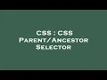 CSS CSS Selector