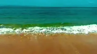 و ل ئ ن  سألتهم من خلق الس  م او ات  والارض ل ي ق ول ن   الل  ه  ق ل  الحمدلله  المنشاوي  المنشاوي دندنها