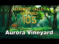 Stardew Valley Expanded Ep 105 Aurora Vineyard