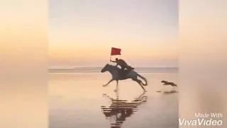 ولد صحراء المغربية 