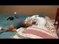 Passion 4 Paws ADOPT ROSCOE
