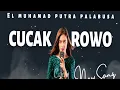 Download Lagu JOGET CUCAK ROWO REMIX STYLE 2023🌴