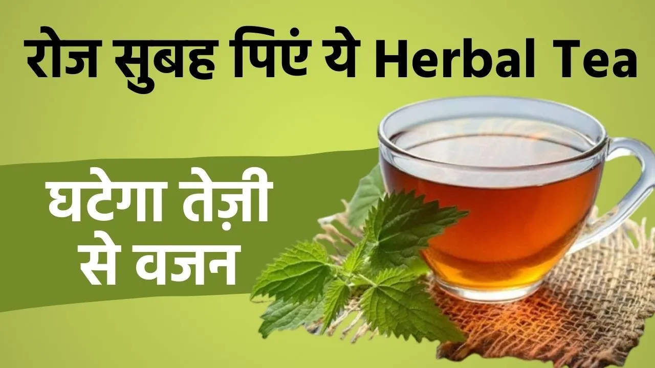 How to Make Herbal Tea: रोज सुबह पिएं ये चाय, तेज़ी से घटेगा आपका वजन