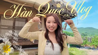 Ăn quá nhiều đặc sản ở Hàn Quốc: bò sống mungtigi, gà rán Kyochon, gà jjimdak, làm thử Andong Soju