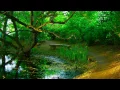 マルチェッロ / オーボエ協奏曲 第2楽章 ( MARCELLO-OboeConcerto-Adagio )