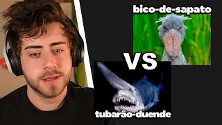 cellbit criou o TORNEIO DEFINITIVO dos ANIMAIS MAIS INSANOS