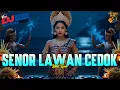 Lagu SENOR LAWAN CEDOK - KETUT LISNA VERSI DJ REMIX || DJ BALI TERBARU 2025 || KUMPULAN LAGU BALI