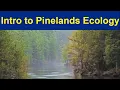 An Introduction to Pinelands Ecology