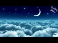 Songs To Put A Baby To Sleep Lyrics ❤️ Baby Lullaby for Bedtime Fisher Price 2 HOURS ❤️