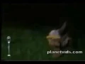 Best Jack in the Box commercial EVER