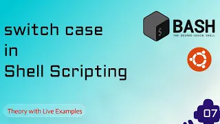 7 switch case in shell scripting Rabbit Code