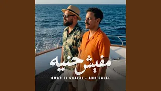 مفيش حنيه دندنها