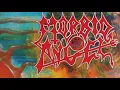 Blessed Are The Sick/Leading The Rats - Morbid Angel Cover