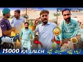 Lagu Bakra Chor Atiq Ne 15000 Ka lalch main phas gya