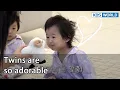 Download Lagu Twins are so adorable (Mr. House Husband EP.249-1) | KBS WORLD TV 220408