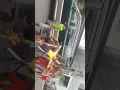 Download Lagu APA LO GA TEGA PUNYA TUHAN YANG NMPEL DI SALIB AWOKS*