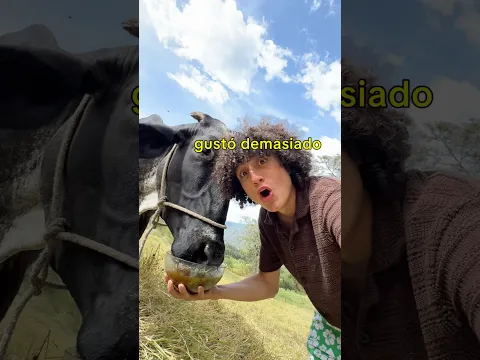 El efecto raspao es otro nivel: mis animales lo disfrutaron y mi cara también gracias