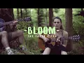 "Bloom" - The Paper Kites (Live Acoustic Cover) feat. Silayne