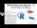 RNASeq Analysis Differential Expressed Genes DEGs from FastQ