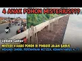 Download Lagu Geger❗Misteri 4 Anak Pohon Di Pinggir Jalan Gabus Menjadi Simbol Pertanyaan Netizen, Kenapa Harus 4❓