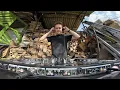 AFRO HOUSE 2025 | Firewood Edition - (Tiësto, Rihanna, Lola Young, ...) by Middray