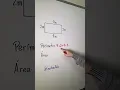 Download Lagu Perímetro e área rápido e fácil ✨