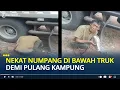 Lagu Viral Pria Ini Nekat Numpang di Bawah Truk demi Pulang Kampung, Ketahuan Sopir saatdi Lampung Timur