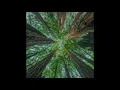 slenderbodies - arrival