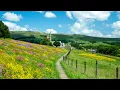 Download Lagu Beautiful Summer Walk in the Yorkshire Dales | Relaxing UK Countryside View