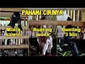 Download Lagu Pahami Hal Penting Ini Pada Kambing Betina Kita
