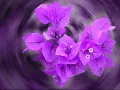 Atlantic Starr - Send For Me - Excellent sound & Animated pics