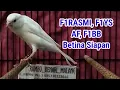Download Lagu HARGA KENARI TERMURAH BAHAN AF, F1YS, F1RASMI, F1BB, BETINA SIAPAN TERNAK 