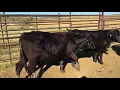 The Cattle Range Listing - 201