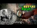 Download Lagu NASIB PEMUTONG | PETANI KARET PAHAM INI