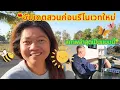 Lagu “พาชมสวนก่อนรีมูฟ–รีโนเวทใหม่”สภาพล่าสุดเป็นแบบนี้” #สวน #สวนหลังบ้าน #สวนผักปลอดสาร #ออร์แกนิค