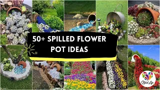 50 Spilled Flower Pot Ideas to Brighten Up Your Garden Landscape