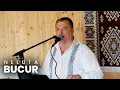 Download Lagu Neluta Bucur 2022 - Muzica de Petrecere si Pahar - Colaj Neluta Bucur 2022