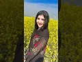 Download Lagu Tujhe Dekha To Ye Jana Sanam\