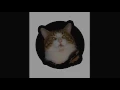 Download Lagu LRzeta - Ipnotik (Bollo Trip - Funny Cat)