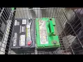 BUYING BATTERIES AT RURAL KING