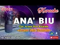 Download Lagu Ana Biu_Bugis Karaoke Keyboard No Vocal+Lirik_By Arman Dian Ruzanda