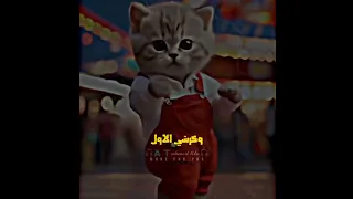 انا بحب اكل انا هم هم 