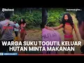 Download Lagu Viral Lagi Penampakan Warga Suku Togutil di Halmahera Keluar Hutan Minta Makanan