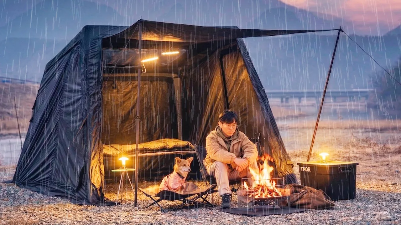빗소리 들으며 시골 강아지와 우중캠핑☔ㅣ수납박스 1개 미니멀 세팅ㅣ다이스쉘터ㅣ용가리쌤캠핑장 썸네일