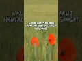Download Lagu Status Wa Pance Pondaag - Walau Hati Menangis #janganlupasubscribe #kangenanakchanel #shorts #status
