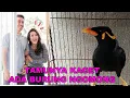 Download Lagu Burung beo bikin kaget tamu, bisa ngaji bisa ngomong apa saja